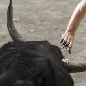 Série « Soleil noir » : Course camargaise © Gaëlle Henkens & Roger Job