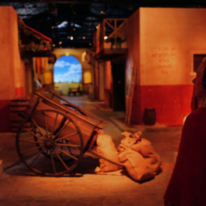 Sur la place © « Tempora »