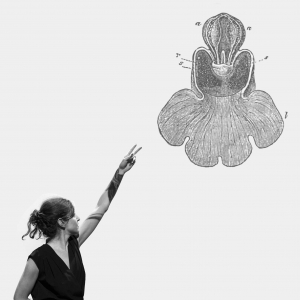 En pleine conférence © Sofia Teillet