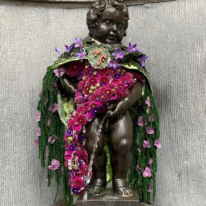 Petit clin d’œil : même notre « Manneken Pis » sera en fleurs © « Les Amis de Manneken Pis »