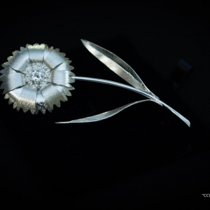 La « Gaillarde d’Argent » © Photo : Albert Blond/2018