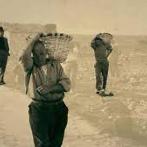 « Estos Muros » (Alberto Pascual)