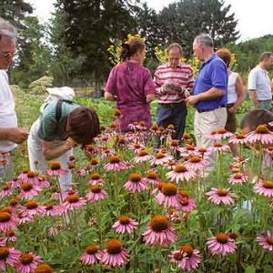 Observatoire Centre Ardenne Observatoire Centre Ardenne