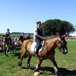 Fete du Cheval 2007-video 21