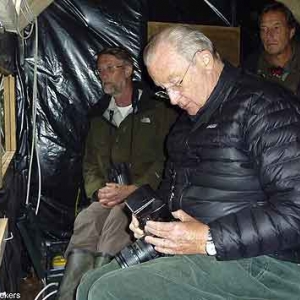 Notre Roi Albert II photographie les blaireaux Notre Roi Albert II photographie les blaireaux