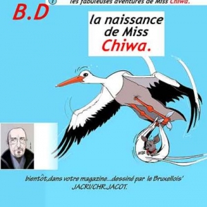 BD sur la vie de Chiwa notre chien vedette BD sur la vie de Chiwa notre chien vedette