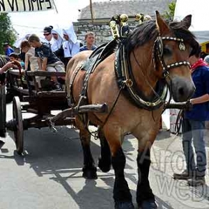 A Bon Vi Timps Bovigny