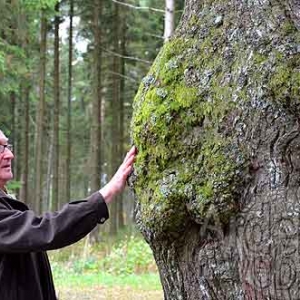 Le Rond Chene de Joseph Docquier Le Rond Chene de Joseph Docquier