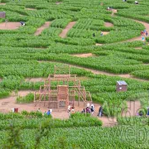 Labyrinthe de Barvaux-7629