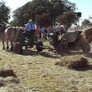 Fete du Cheval 2007-video 28 Fete du Cheval 2007-video 28