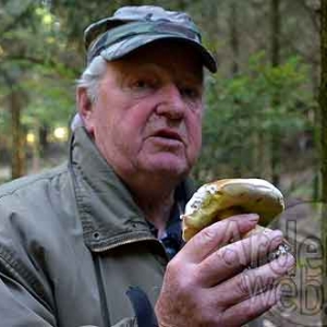 Jean-Marie Hamoir Jean-Marie Hamoir