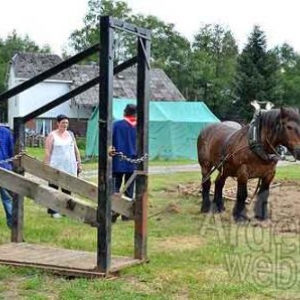 7839 - A bon vi timps Bovigny 7839 - A bon vi timps Bovigny