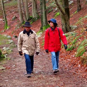 Scouts-Guides Pluralistes