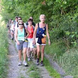 MESA 2011-0358 MESA 2011-0358