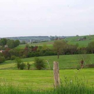 Habiter en Intelligence avec le Vivant Habiter en Intelligence avec le Vivant