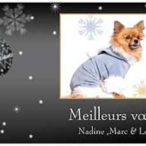 BONNE ANNEE 2012