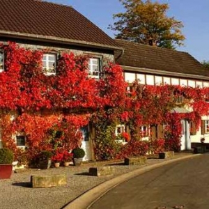 automne, foret,ardenne,tourisme,canton,est