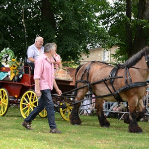 Fete des Myrtilles 2016 Vielsalm-Davin_2445