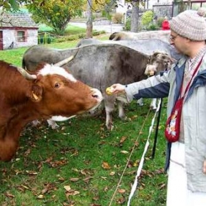 3044-video 01 3044-video 01