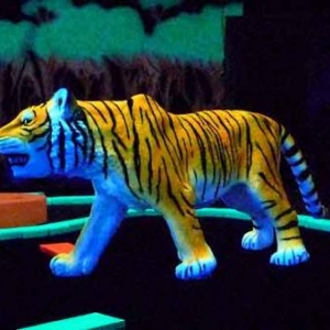 Goolfy mini golf indoor