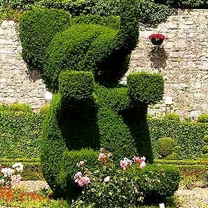 Concours pour artiste amateur Concours pour artiste amateur