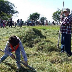Tavigny : Fete du Cheval 2007-photo3896 Tavigny : Fete du Cheval 2007-photo3896