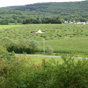 Labyrinthe de Barvaux sur Ourthe - 9857