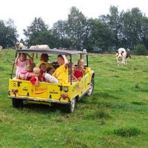 klein rost klein rost