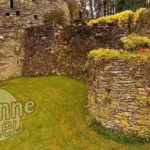 Chateau de Salmchateau Chateau de Salmchateau