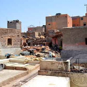 Clinique du ballon-862 Clinique du ballon-862