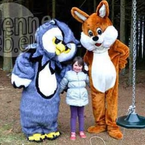 video attraction Ardenne Manhay