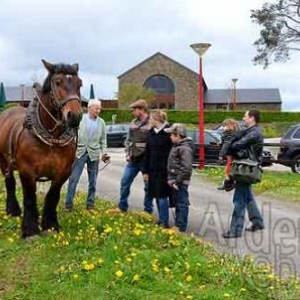 AGRI-MUSEE de Rochehaut