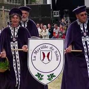 FETE des Myrtilles de Vielsalm 2012_ video 2