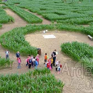 Labyrinthe de Barvaux-7587