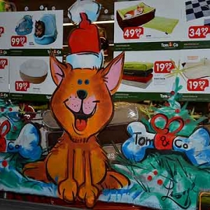 TUBIZE-peinture sur vitrine pour NOEL-2630
