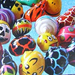 Le Bernard l'hermite terrestre Le Bernard l'hermite terrestre