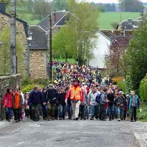 groupe COBRA groupe COBRA