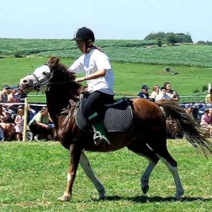 Tavigny : Fete du Cheval 2007-photo3725 Tavigny : Fete du Cheval 2007-photo3725