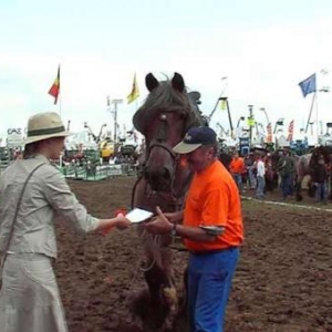 Foire de Libramont 2007-video 07-7