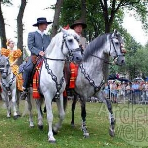 20100721_myrtilles_09