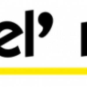 les bel roses les bel roses