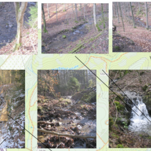 Projet « Saumons en classe » HARZE Projet « Saumons en classe » HARZE