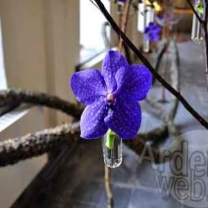 Belgian flower arrangement society -photo 10