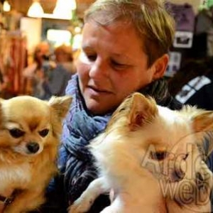 concours du plus beau chien du monde - video 03
