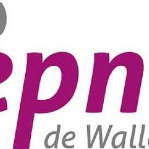 Espace Public Numerique de Wallonie Espace Public Numerique de Wallonie