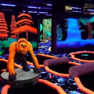 Goolfy mini golf indoor