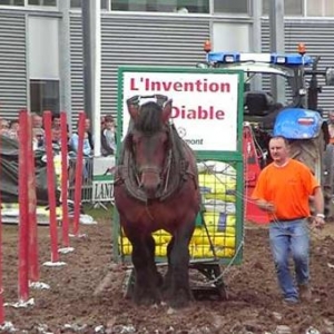 Foire de Libramont 2007-video 02