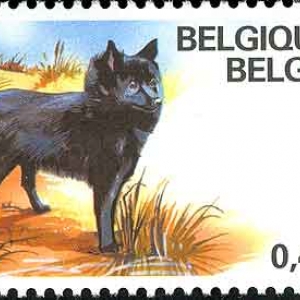 Timbre de Christian Jacot Timbre de Christian Jacot