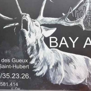 Achouffe, village des artistes 2017-photo 3741 Achouffe, village des artistes 2017-photo 3741