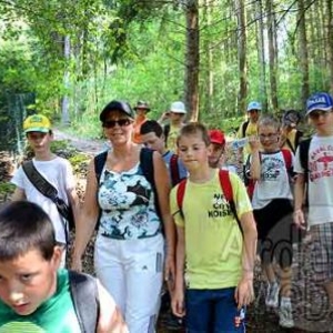 MESA 2011-0466 MESA 2011-0466